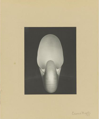 fotografie_nyc_apriel2010_sothebys_WESTON