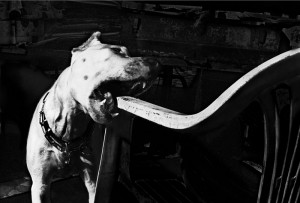 2012_Anders_Petersen_Rome_a_Diary_2005