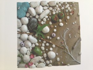 Piero Gilardi, rinascita del cocco, poliuretano espanso, teca plexiglas cm 100x100, courtesy galleria biasutti &biasutti arte moderna, Torino