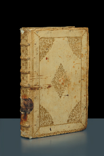 cambi_marzo2011_93787_6