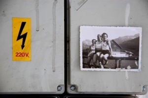 trifaserachele_maistrello