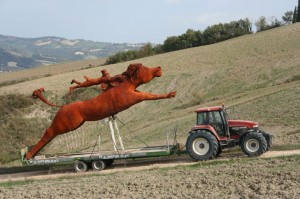 01_Calcagnini_INSTALLAZIONE Urbino Resort