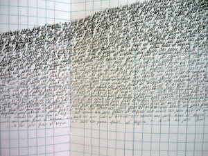 1000-pesce particolare