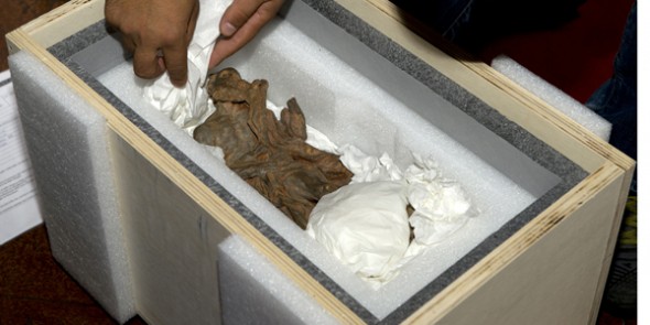 San-Girolamo-di-Bernini