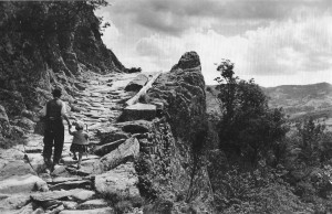 Civago, Villa Minozzo, 1954