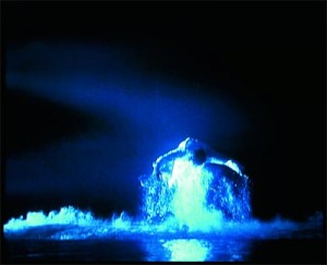 bill_viola_5