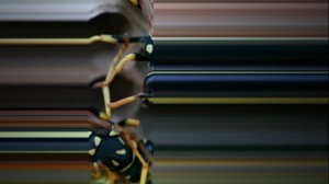 Piero Chiariello, Api, 2012, still da video