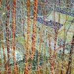 christies - contemp - 13 febbr 13 - 9