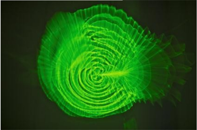 simposio brera 4 marzo 2013