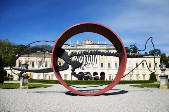 Nicola Salvatore - Balena -