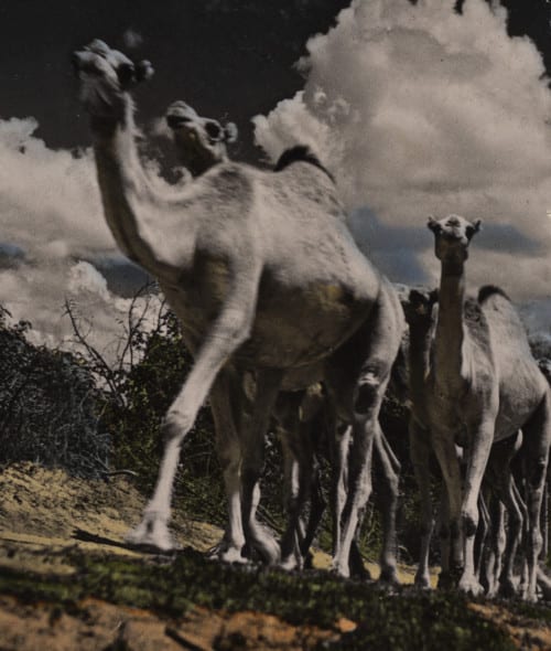 Giovanni Frangi. Mollate le vele ,2014 fotografia a colori cm 12 x 9