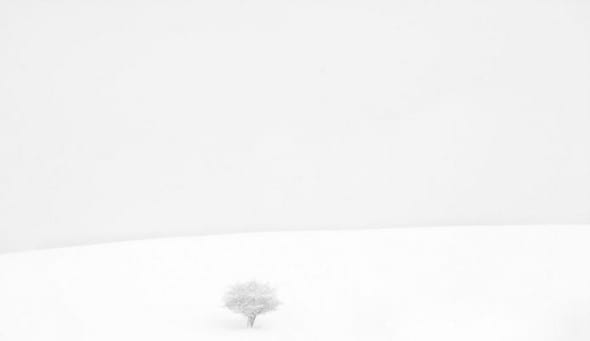 Mario Daniele, Inverno #17, 2012, stampa giclée, carta cotone Hahnemühle, cm 60x90, ed. 7, Courtesy: Paola Sosio Contemporary Art
