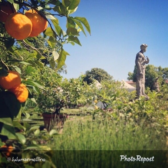 artigianato e palazzo