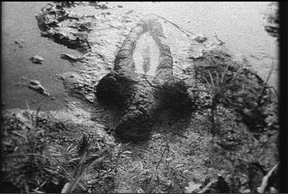 Ana Mendieta Birth, 1981 Super-8mm black and white, silent film transferred to DVD DVD 2'3'' ed of 6 (C) The Estate of Ana Mendieta Collection, L.L.C., Courtesy Galerie Lelong, New York, Galleria Raffaella Cortese, Milano and Alison Jacques