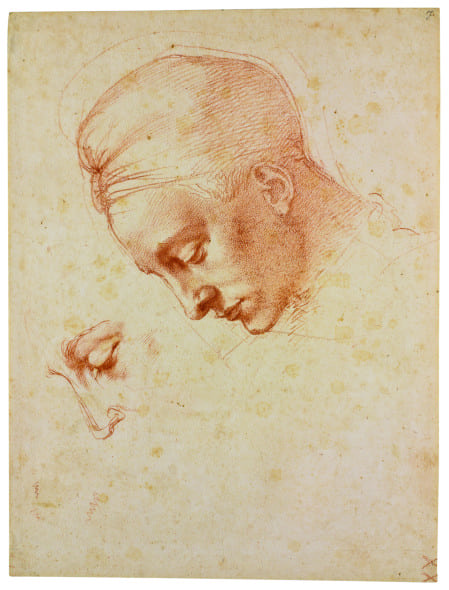 Michelangelo Studi per la testa della “Leda” 1530 circa Pietra rossa, su carta; mm 355 x 269 Firenze, Casa Buonarroti, inv. 7 F