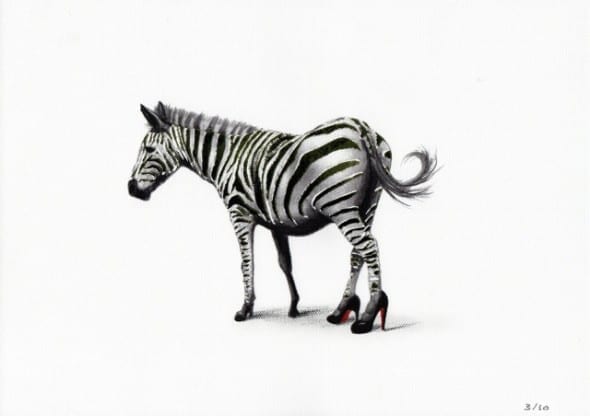 Simone Berti Zebra 2013