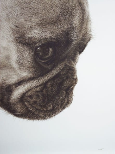 Amber Sena, The Trap