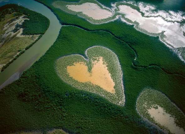 Yann Arthus-Bertrand_ Cuore di Voh nel 1990_Nuova Caledonia_Francia