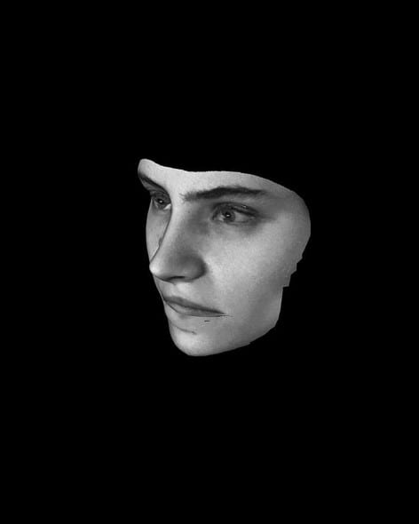 The Revolutianary (Yekaterina Samutsevich), Shtik Fleisch Mit Tzvei Eigen, 2013 by Adam Broomberg & Oliver Chanarin