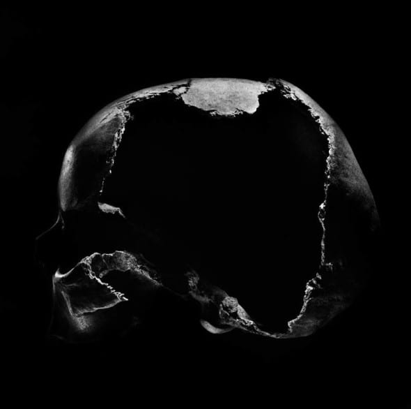 Cranio n.7 2013 by Antonio Biasucci