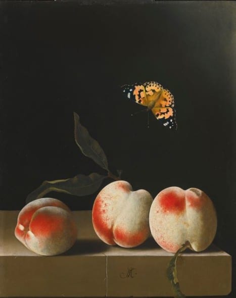 37 THE PROPERTY OF A GENTLEMAN ADRIAEN COORTE THREE PEACHES ON A STONE LEDGE, WITH A RED ADMIRAL BUTTERFLY Estimate  2,000,000 — 3,000,000  GBP