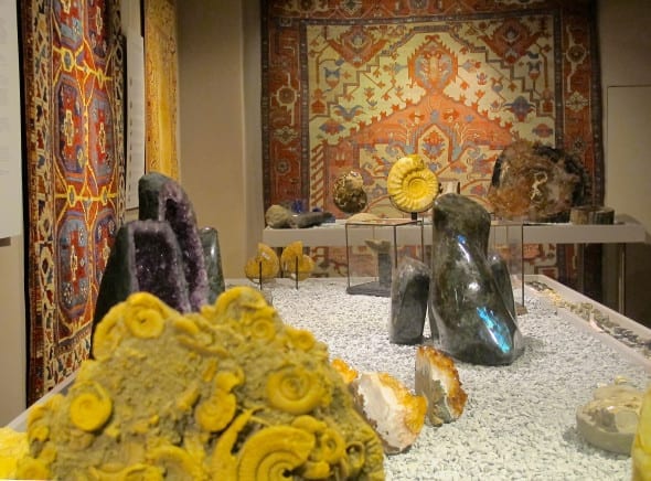 Окаменелости и камни. Формы и цвета. Выставка в Милане. Mirco Cattai.
