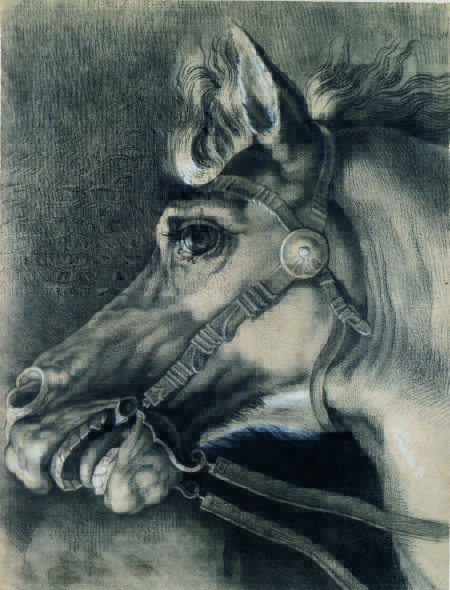 VINCENZO CAMUCCINI – Horse’s Head. Pencil, charcoal and white chalk on paper, mm 577 x 440. Provenience: Camuccini Collection, Cantalupo in Sabina