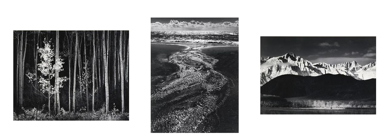 Ansel-Adams-aste-Sothebys-Ebay