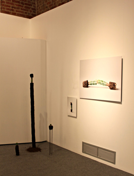 Sara Benaglia, Innesto #1 (2014), Innesto #2 (2015), Innesto #3 (2015) Giulia Mauri © ArtsLife