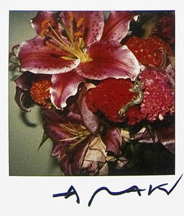 NOBUYOSHI ARAKI