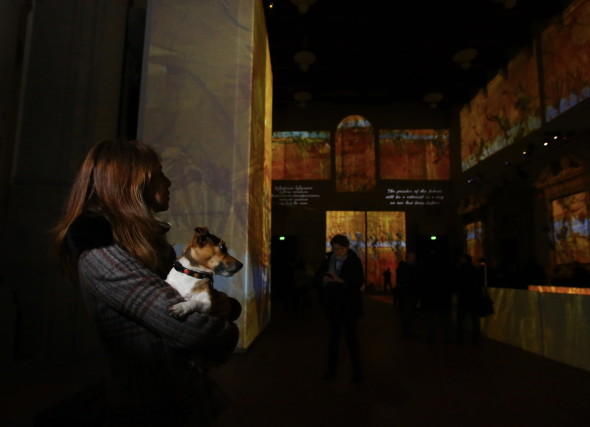 "Van Gogh Alive", alla Chiesa sconsacrata di Santo Stefano al Ponte, Firenze