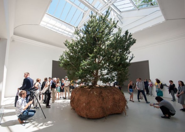 Boursier-Mougenot-France-Biennale-2015-Inexhibit-02