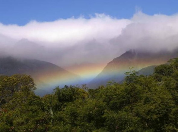 Le Foreste pluviali di Atsinanana, in Madagascar