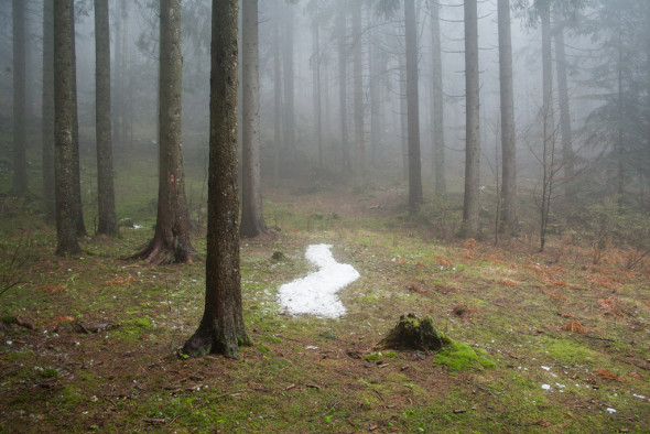 berton-carlesso_respect