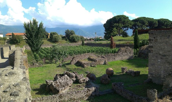I vigneti Mastroberardino negli scavi di Pompei