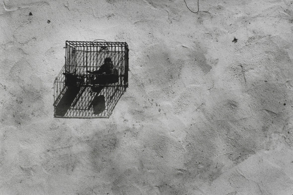 Cherso 1984  © Giulio Obici