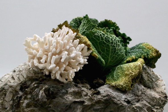 Adrián Villar Rojas