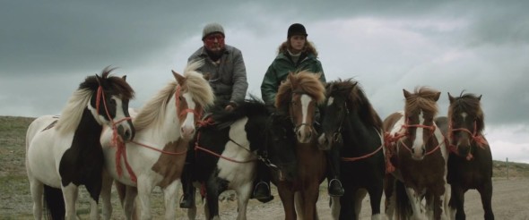 Storie di cavalli e uomini 