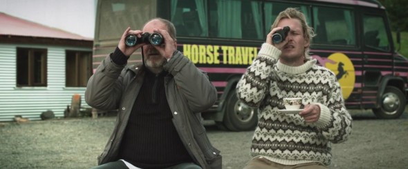 Storie di cavalli e uomini 