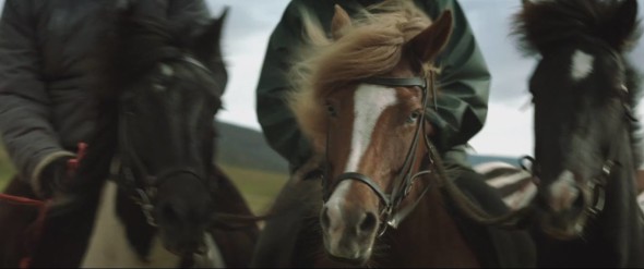 Storie di cavalli e uomini 