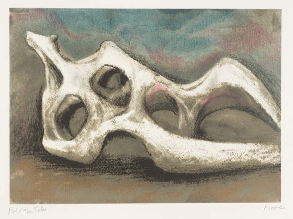 henry moore roma