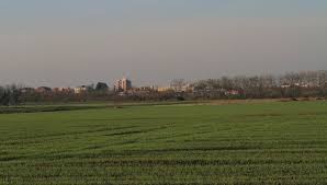 Parco della Balossa (2)