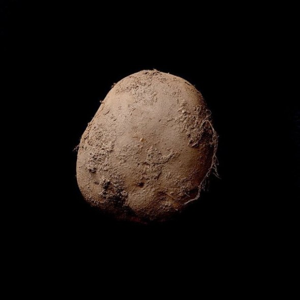 Ritratto di Patata di Kevin Abosch venduta a 1 milione di euro