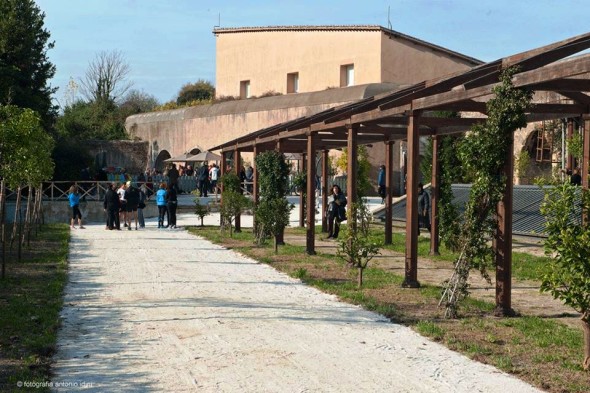 Casale dei cedrati veduta esterna photo courtesy Casale dei Cedrati