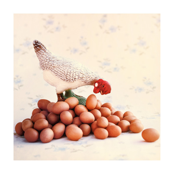 Cogo Federica, Ritratti industriali#1_courtesy Alidem