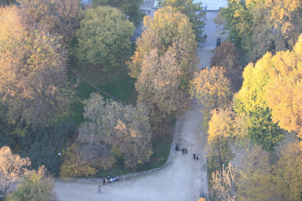 Visuale del Parco Sempione dalla Torre Branca, Lucia Marsala