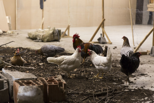 Petrit-Halilaj-Space-Shuttle-in-the-Garden-veduta-della-mostra-presso-Pirelli-HangarBicocca-Milano-2015-photo-Agostino-Osio