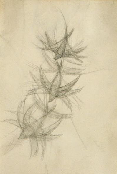 Balla_studio per volo di rondini_1913