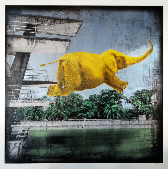 DSCF8382-kopiera-587x590