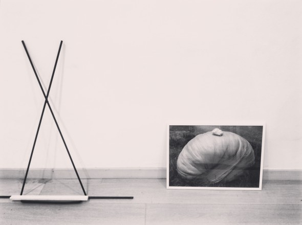 CMD+R_Fondazione Pini